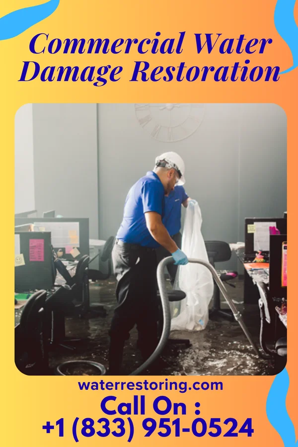 Commercial Water Damage Restoration in Corrales, NM