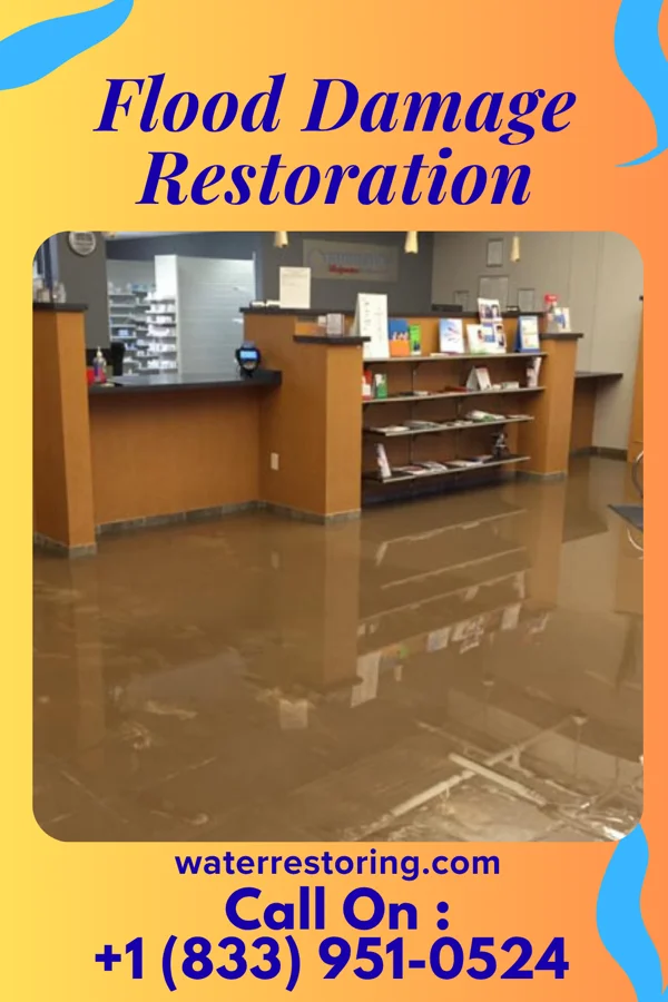Flood Damage Restoration in Corrales, NM